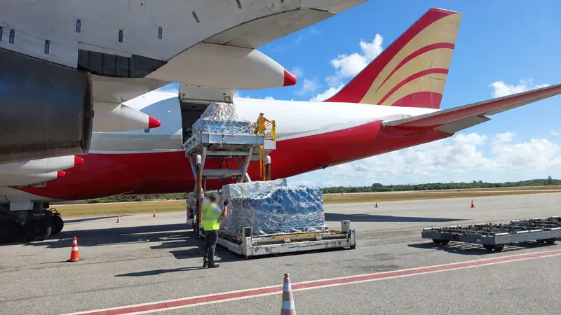 Palletized cargo transfer between aircraft